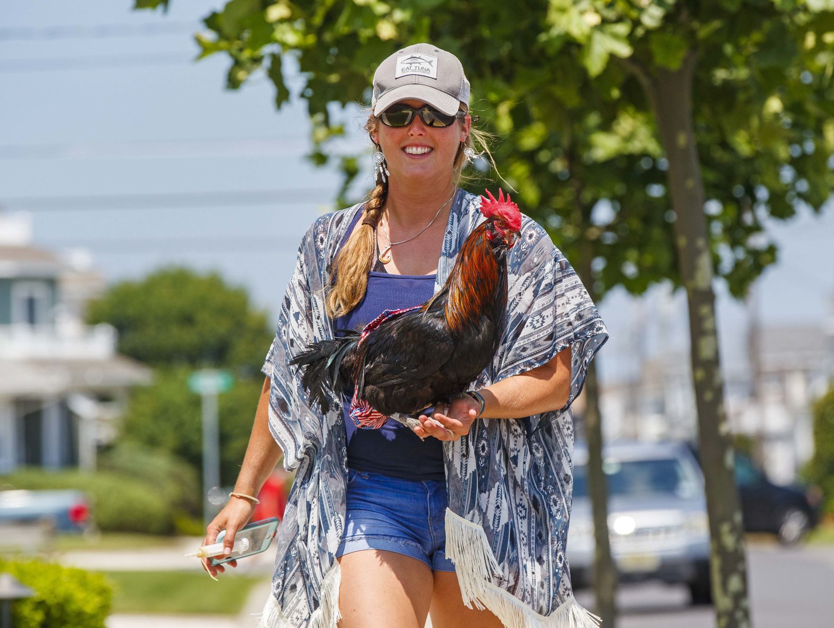 Bluff, an adventurous Rooster